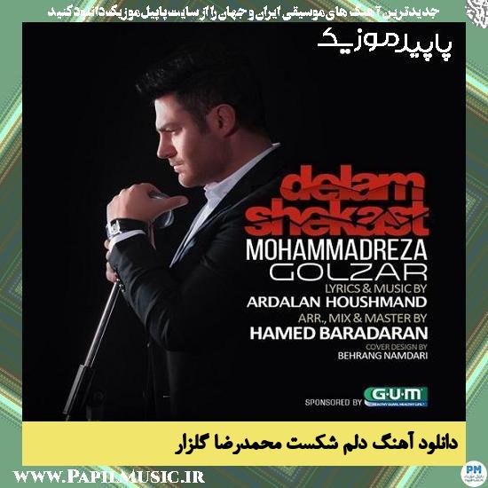 دانلود آهنگ دلم شکست از محمدرضا گلزار
